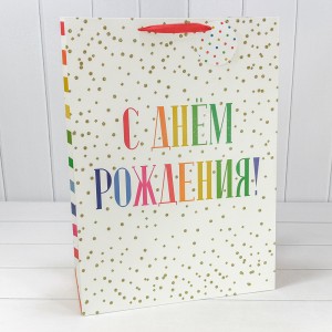 Пакет подарочный     