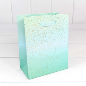 Пакет подарочный