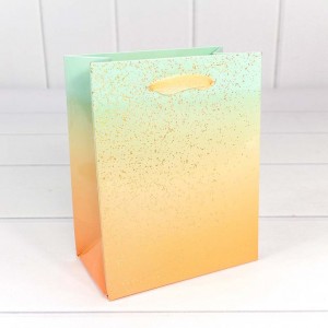 Пакет подарочный