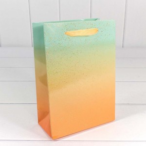 Пакет подарочный