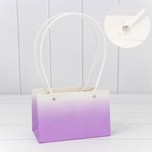 Пакет подарочный       