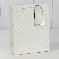 Пакет подарочный        