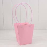 Пакет подарочный        