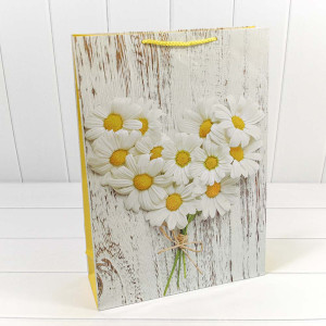 Пакет подарочный