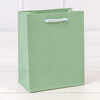 Пакет подарочный    