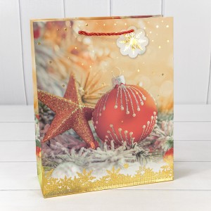 Пакет подарочный  