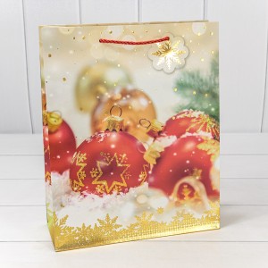 Пакет подарочный  