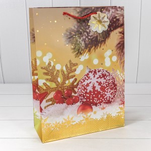 Пакет подарочный  