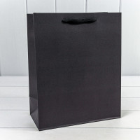 Пакет подарочный  