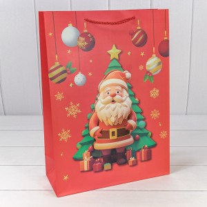 Пакет подарочный  