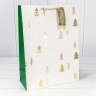 Пакет подарочный Пакет подарочный