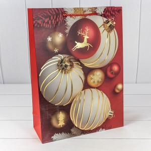 Пакет подарочный  