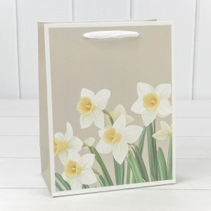 Пакет подарочный   