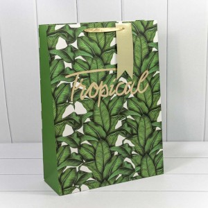 Пакет подарочный