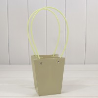 Пакет подарочный    