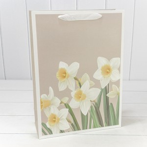 Пакет подарочный          