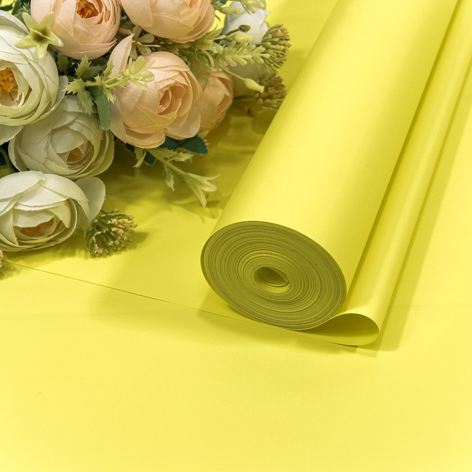 Плёнка Плёнка