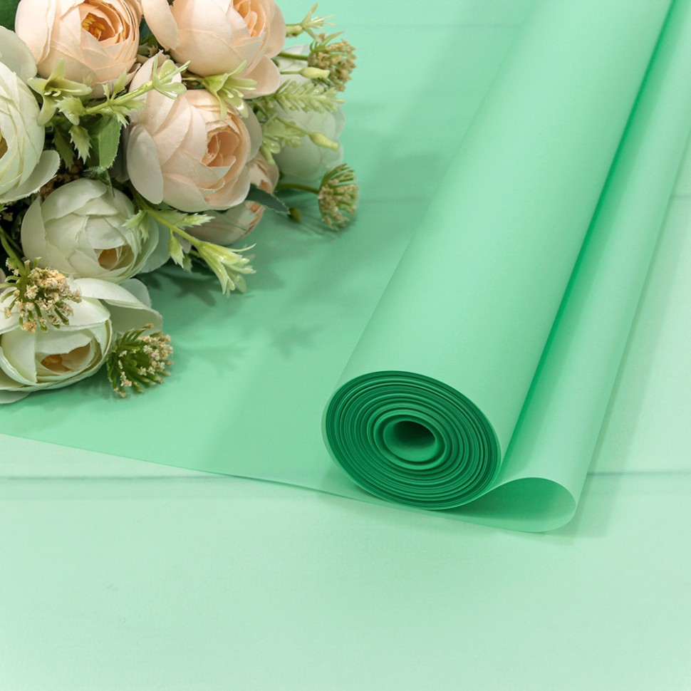 Плёнка Плёнка