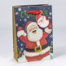 Пакет подарочный   