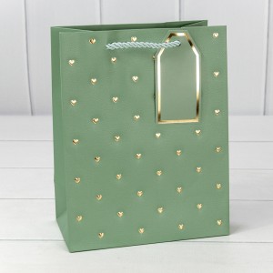 Пакет подарочный   