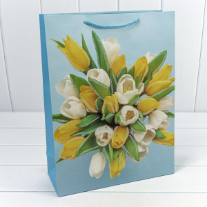 Пакет подарочный  