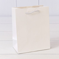 Пакет подарочный    