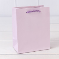 Пакет подарочный     