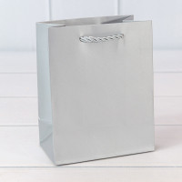 Пакет подарочный     