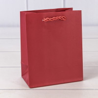 Пакет подарочный    