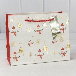 Пакет подарочный 