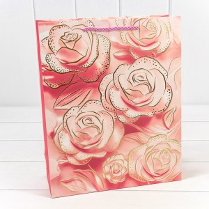 Пакет подарочный