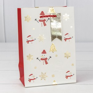 Пакет подарочный 