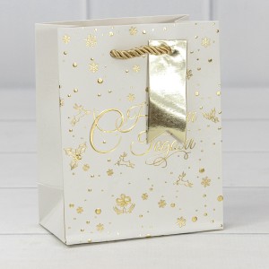 Пакет подарочный 