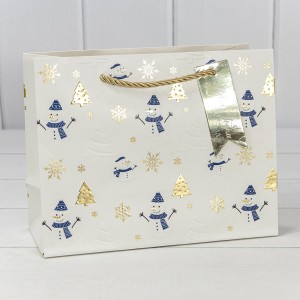 Пакет подарочный  