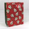 Пакет подарочный Пакет подарочный