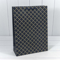 Пакет подарочный  