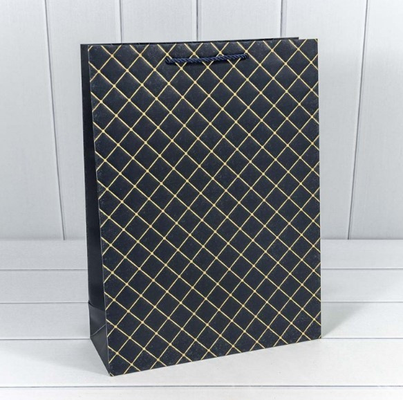 Пакет подарочный Пакет подарочный