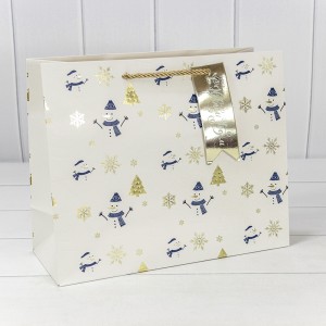 Пакет подарочный     