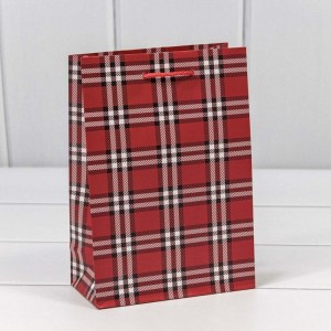 Пакет подарочный 