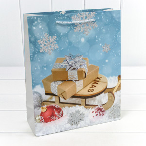 Пакет подарочный       