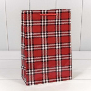 Пакет подарочный