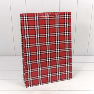 Пакет подарочный