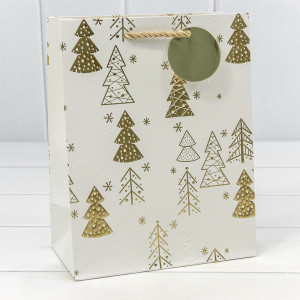 Пакет подарочный