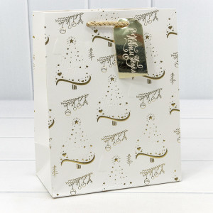 Пакет подарочный