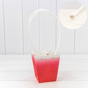 Пакет подарочный    