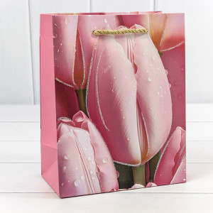 Пакет подарочный     