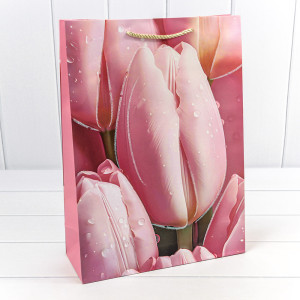 Пакет подарочный         