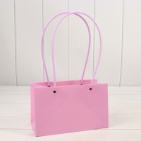 Пакет подарочный      