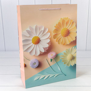 Пакет подарочный   